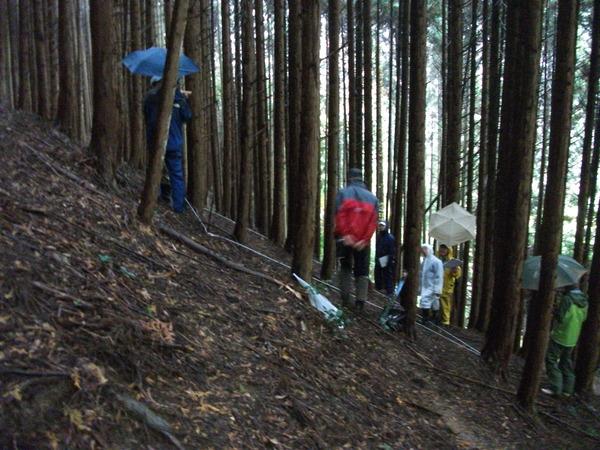 木々が生えている山の斜面を雨合羽を着て傘をさして登っている森の健康診断の参加者の写真